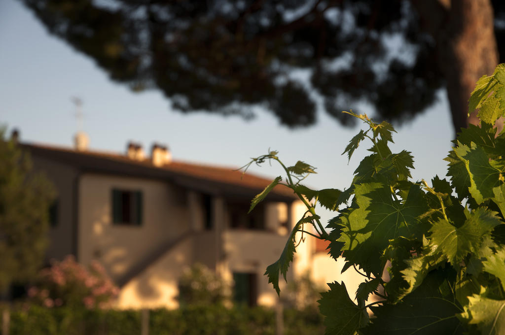 Agriturismo Quattro Pini Кастаньето-Кардуччи Экстерьер фото