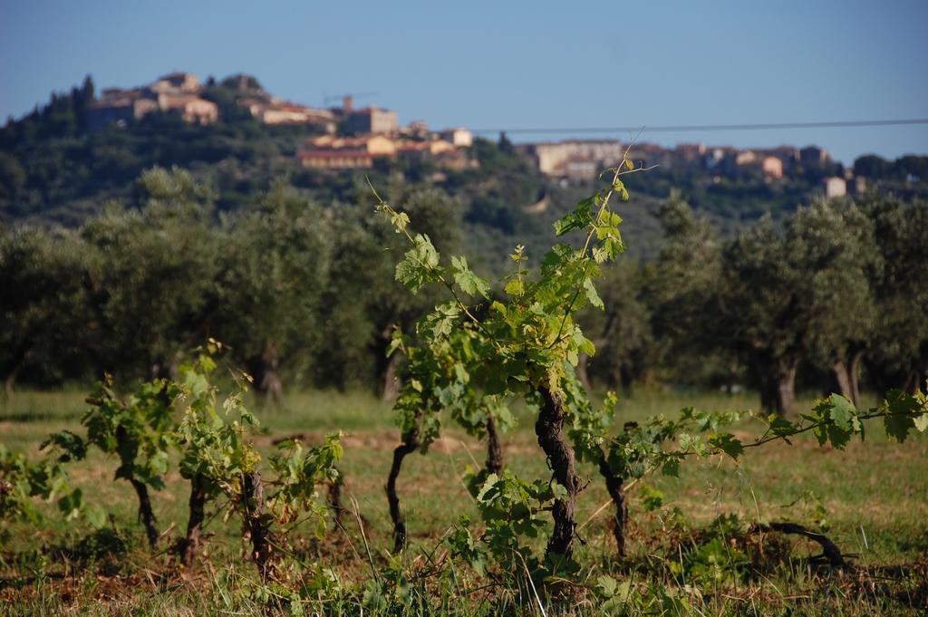 Agriturismo Quattro Pini Кастаньето-Кардуччи Экстерьер фото