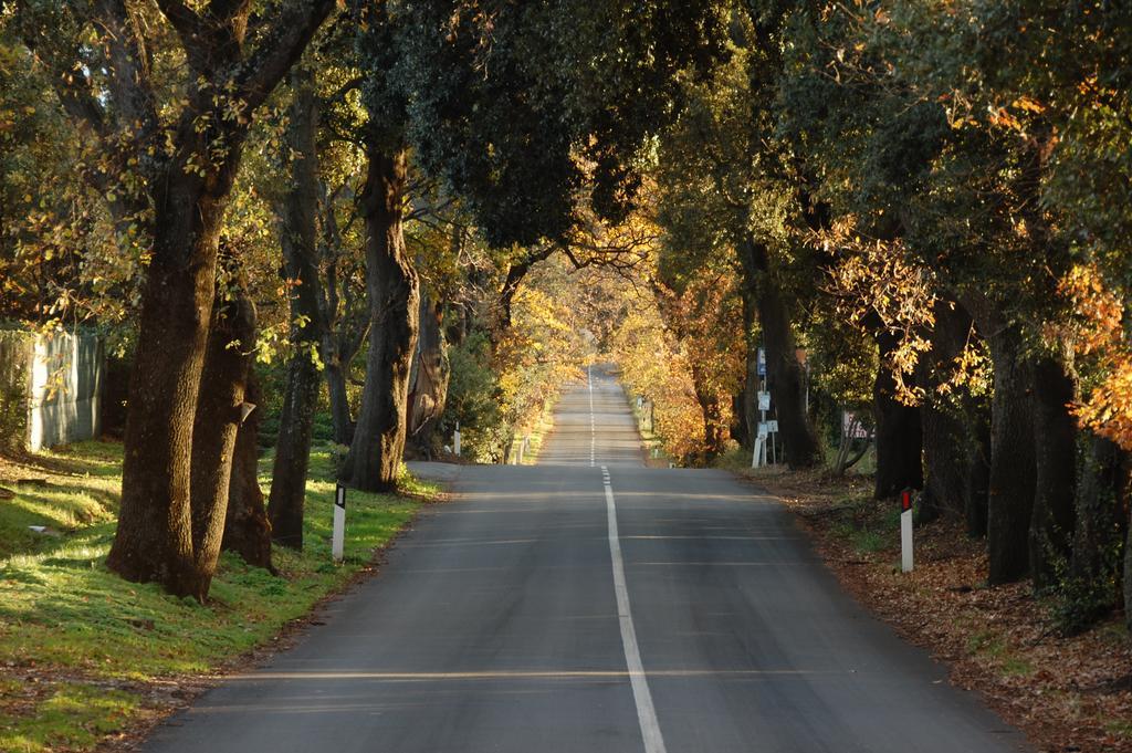 Agriturismo Quattro Pini Кастаньето-Кардуччи Экстерьер фото