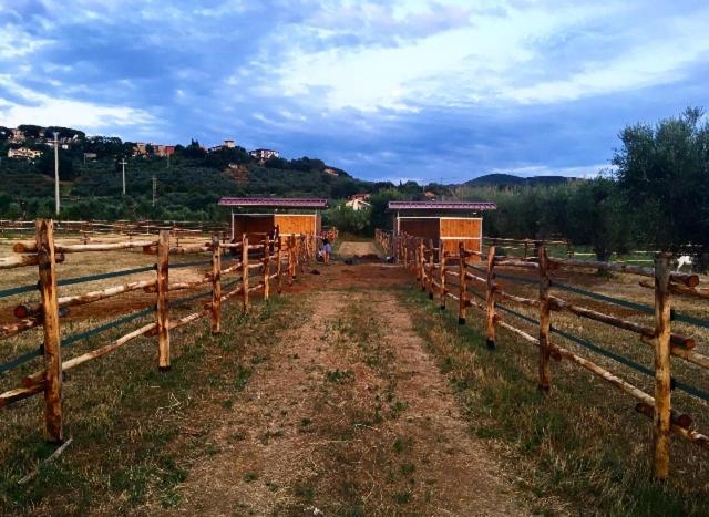 Agriturismo Quattro Pini Кастаньето-Кардуччи Экстерьер фото